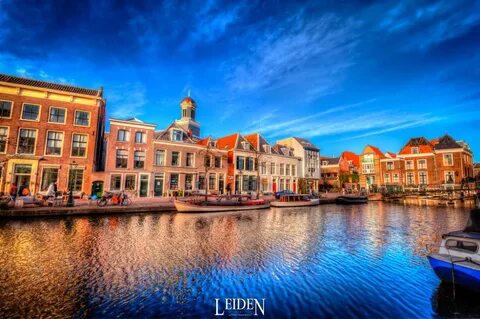 Güney Hollanda