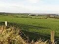 Carrickfergus İlçe Konseyi
