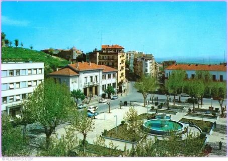 taç