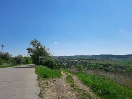 Anenii Noi Bölgesi