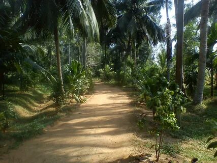 Gampaha Bölgesi