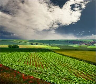 Voyvodina