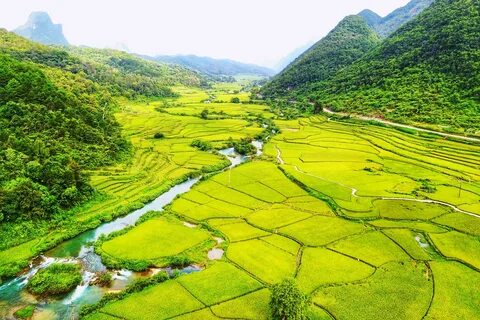 Lâm Đồng