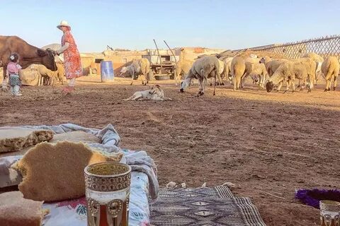 Sidi Bennour