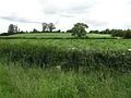 Fermanagh Bölge Konseyi