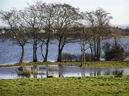 Craigavon İlçe Konseyi