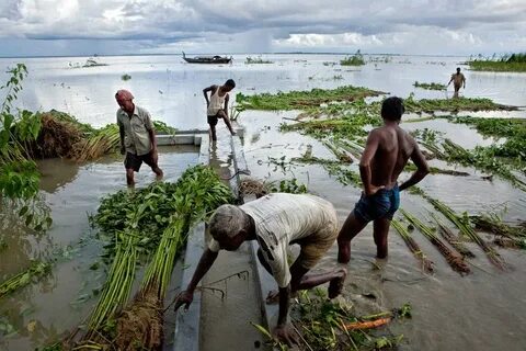 Kurigram Bölgesi