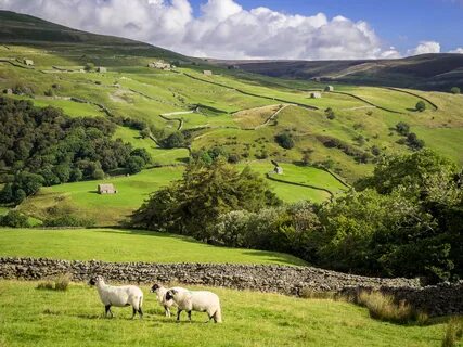 Kuzey Yorkshire