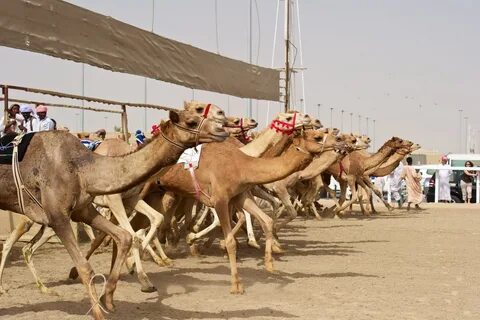 Al-Shahaniya