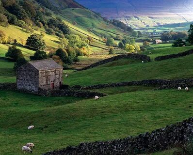 Kuzey Yorkshire