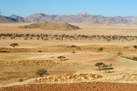 Hardap Bölgesi