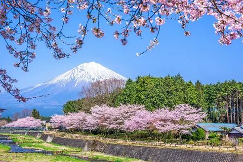 Shizuoka Eyaleti