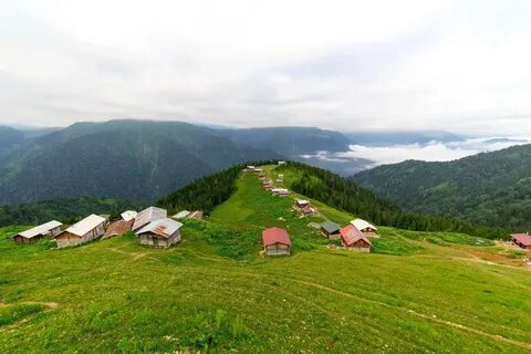 Rize