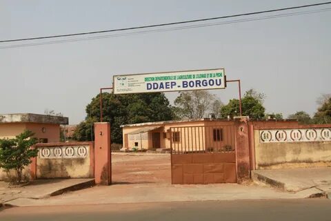 Borgou Departmanı