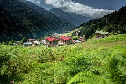 Rize