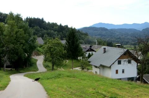 Radovljica Belediyesi