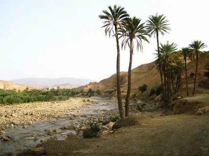 Khenchela