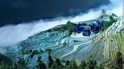 Guizhou