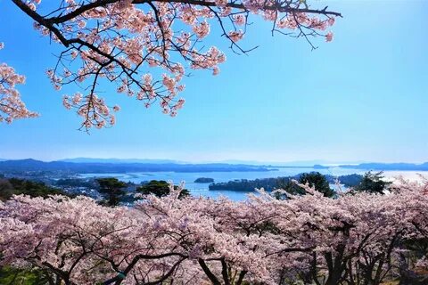 Hyōgo Eyaleti