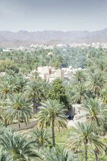 Ad Dakhiliyah