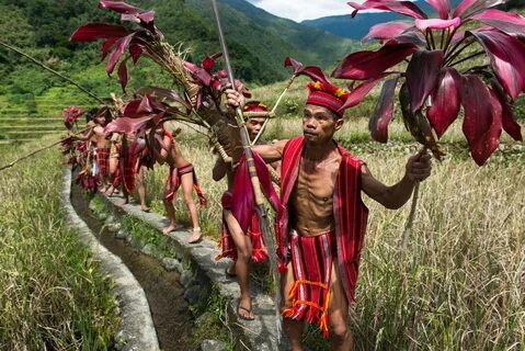 Ifugao