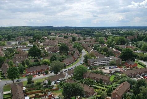Bracknell Ormanı