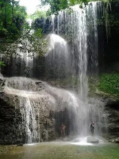 Morovis
