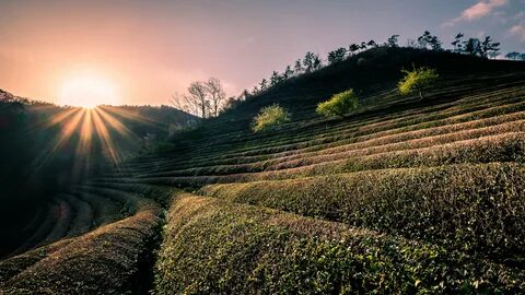 Güney Jeolla Eyaleti