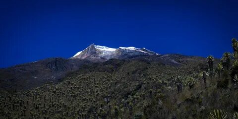 Tolima