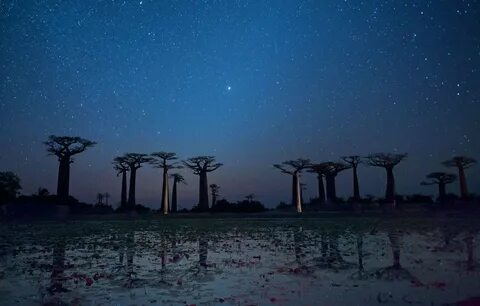 Toliara Eyaleti