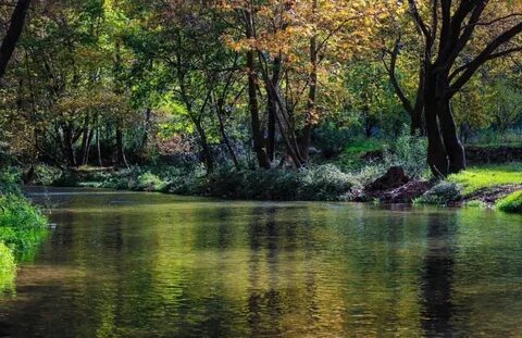 Akkar