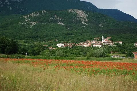 Vipava Belediyesi