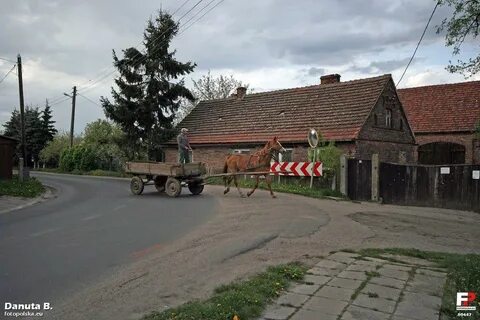 Lubusz Voyvodalığı