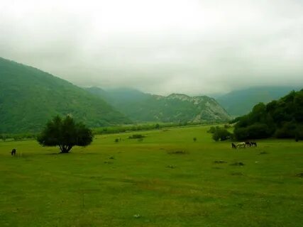 Göyçay