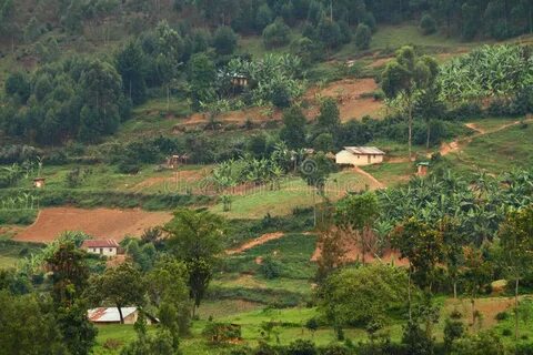 Kapchorwa Bölgesi