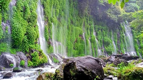 Cotabato