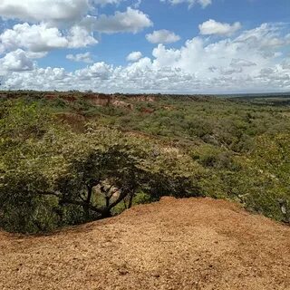 Kilifi