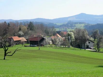 Ribnica Belediyesi