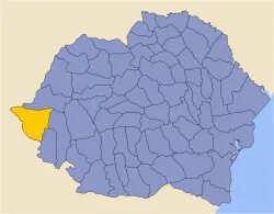 Timiș İlçesi