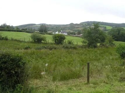 Fermanagh Bölge Konseyi