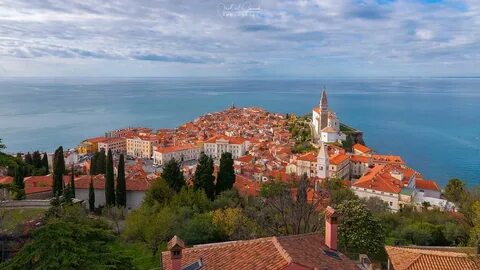 Piran Belediyesi