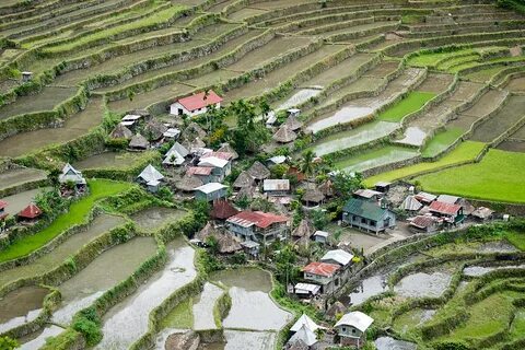 Cordillera İdari