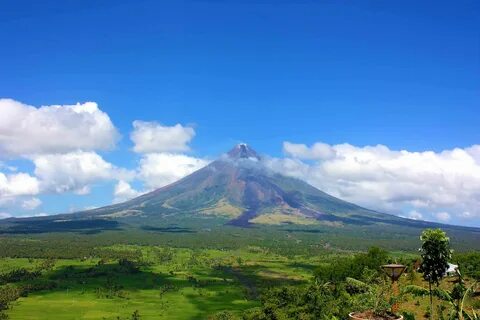 Albay