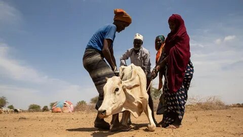 Somali Bölgesi