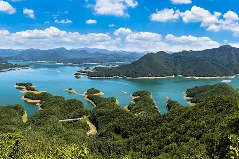 Güney Chungcheong Eyaleti
