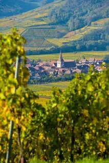 Haut-Rhin
