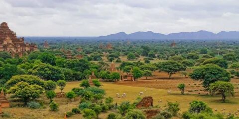 Magway Bölgesi