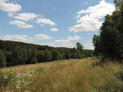 Lvivska bölgesi