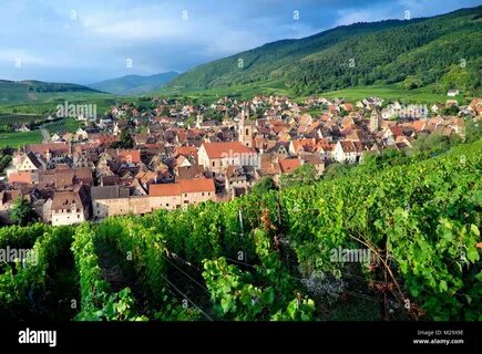 Haut-Rhin