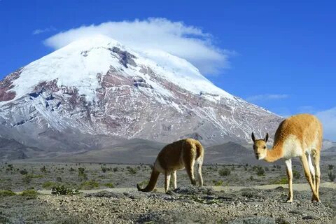 Chimborazo